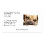 Sleeping Mastiff Dog Business Card
