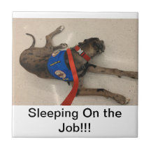 Sleeping On the Job!!!! Ceramic Tile