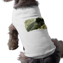 Sleeping Panther Pet Shirt