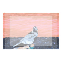 sleeping pied pigeon coral wall blue river invert stationery