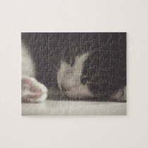 Sleepy kitty Puzzle puzzles