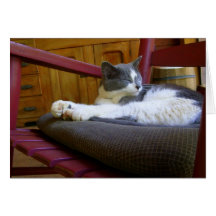 Sleepy Miss Biscuit / Birthday Greeting Card