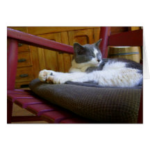 Sleepy Miss Biscuit / Notecard