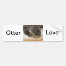 Sleepy Otter Bumper Sticker