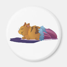Slipper Kitty Fridge Magnets