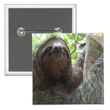 Sloth Photo Design Square Pin