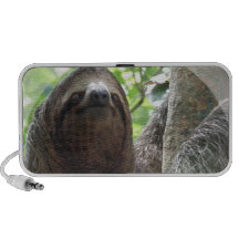 Sloth Speakers