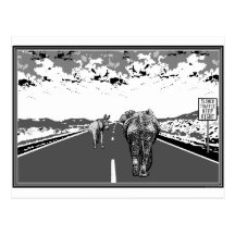 Slower Traffic Keep Right Postcards