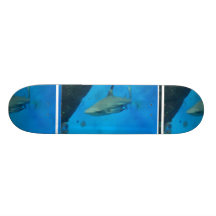 Small Black Tipped Shark Skateboard Decks