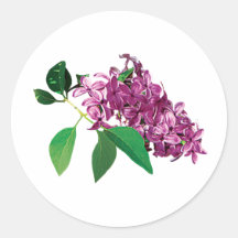 Small Cluster of Pink Lilacs Sticker
