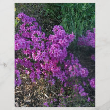 Small deep pink flowers flyer design