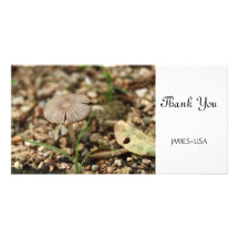 Small Mushroom Photo Card Template