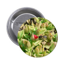 Small Red Flower Bush Pinback Button