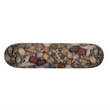 Small shells Shell Skate Board Deck