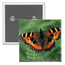 Small tortoiseshell, Aglais urticae Buttons