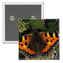 Small tortoiseshell butterfly, Arlesford, Hampshir Pinback Buttons
