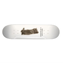 smanim1, cat-funny-eyes-01,   help i'm stuckin ... skate board decks