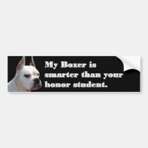Smart boxer bumper sticker