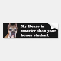 Smart boxer bumper sticker