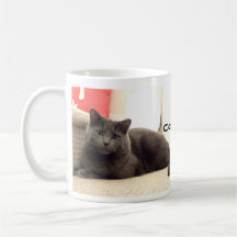 Smiley Kitty For Cat Lover Forever Mugs