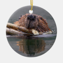 smiling beaver ornament
