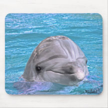 Smiling Dolphin Mouse Mats