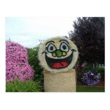smiling hay  Postcard