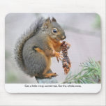 Smiling Squirrel Eating Pine Cone Mouse Pad