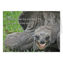 Smiling Tortoise Joke Cards
