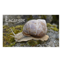 Snail farm business card