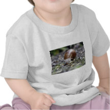 Snail Photo T Shirt