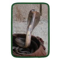 Snake duo MacBook sleeve
