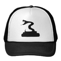 Snake Hat