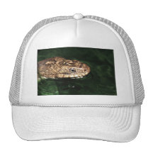 snake mesh hat