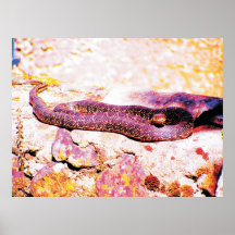 snake nap poster