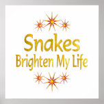 Snakes Brighten My Life Poster