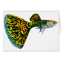 Snakeskin Cobra Guppy Card