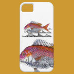 snappers - tribal waves casemate cases