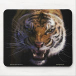 Snarling Bengal Tiger Fine Art Wildlife Mousepad