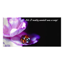 Snoozing Lady, All I really wanted was a nap! Photo Greeting Card