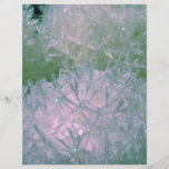 Snow balls flyer