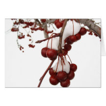 Snow Berry Card