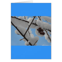 snow berry greeting cards