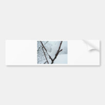 Snow Branch Bumper Sticker
