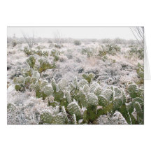 Snow Cactus Greeting Card