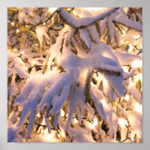 snow covered trees poster