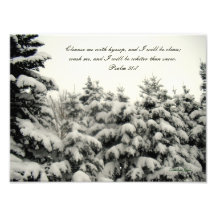Snow Covered Trees Print Photograph