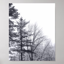 Snow-covered Trees: Vertical Print
