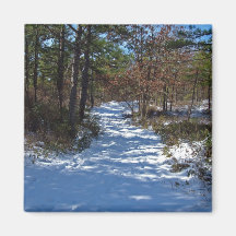 Snow Covered Woodland Path in Winter Magnets