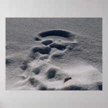 snow ghost print